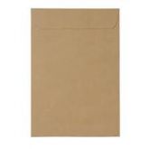 Envelope kraft 240x340 (caixa)